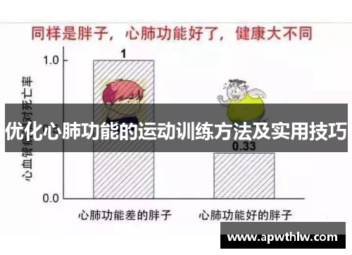 优化心肺功能的运动训练方法及实用技巧
