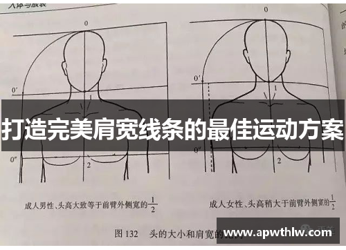打造完美肩宽线条的最佳运动方案