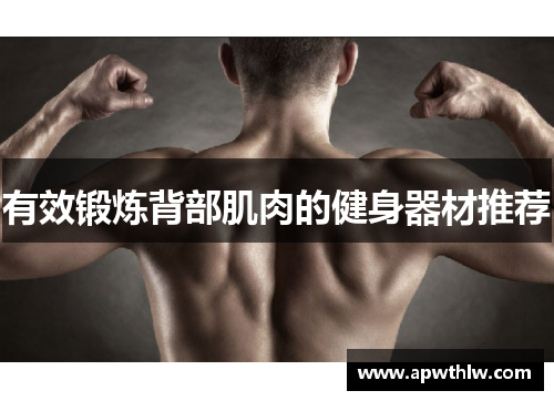 有效锻炼背部肌肉的健身器材推荐