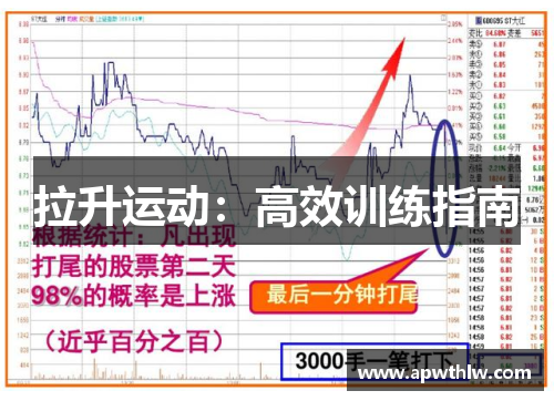 拉升运动：高效训练指南