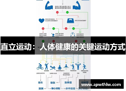 直立运动：人体健康的关键运动方式
