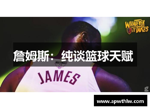 詹姆斯：纯谈篮球天赋 